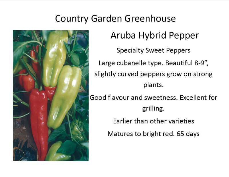 Aruba Hybrid Pepper