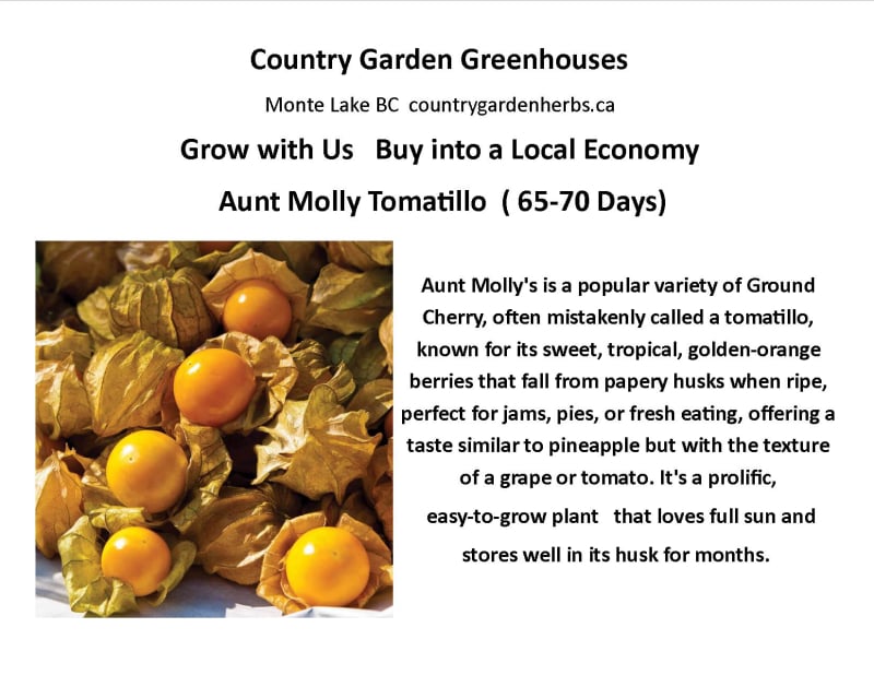 Aunt Molly Tomatillo