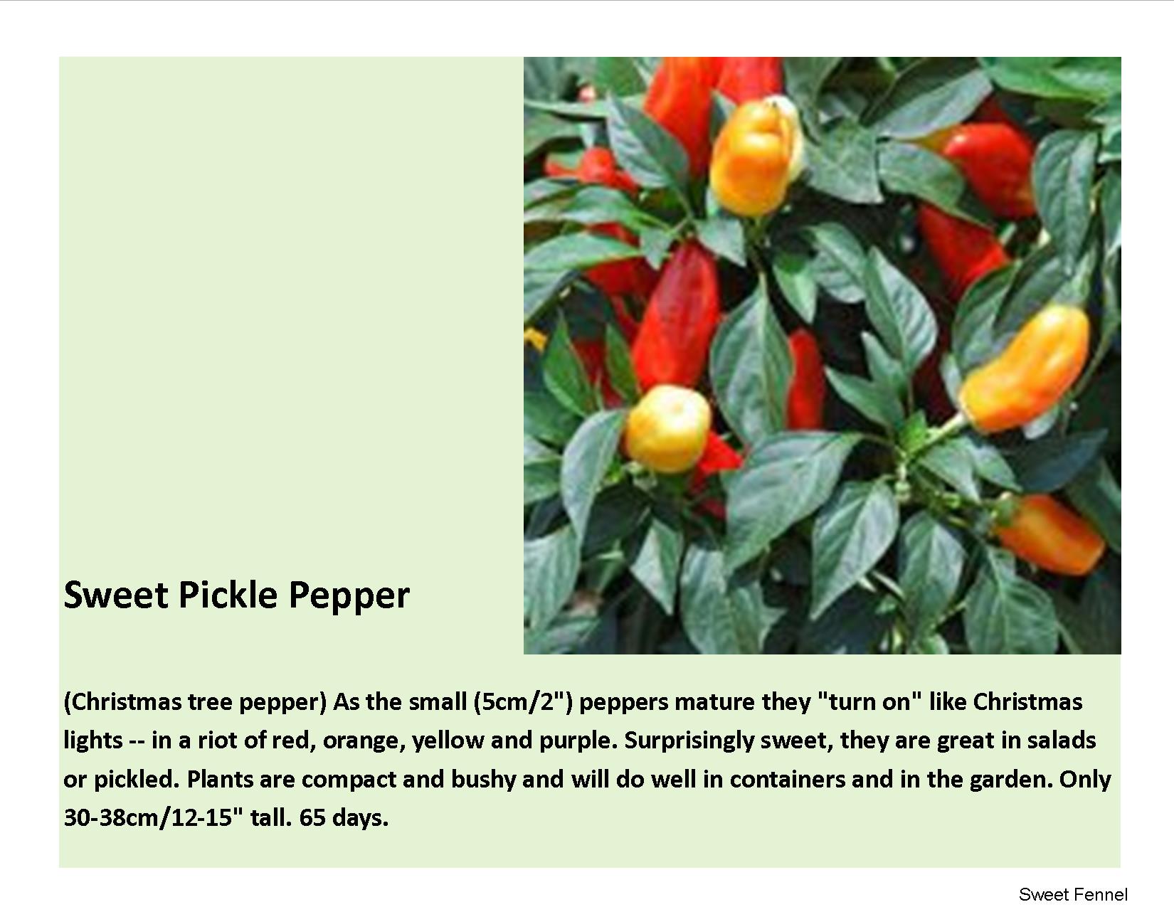 Pepper-Sweet- Sweet Pickle