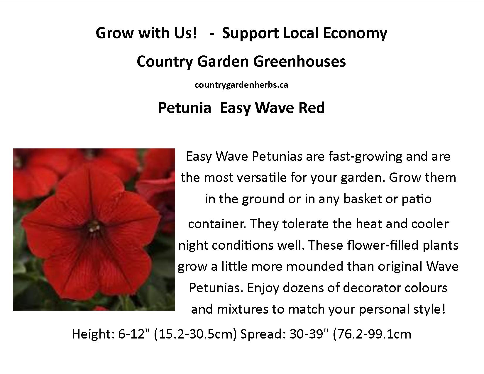 Petunia  Easy Wave Red