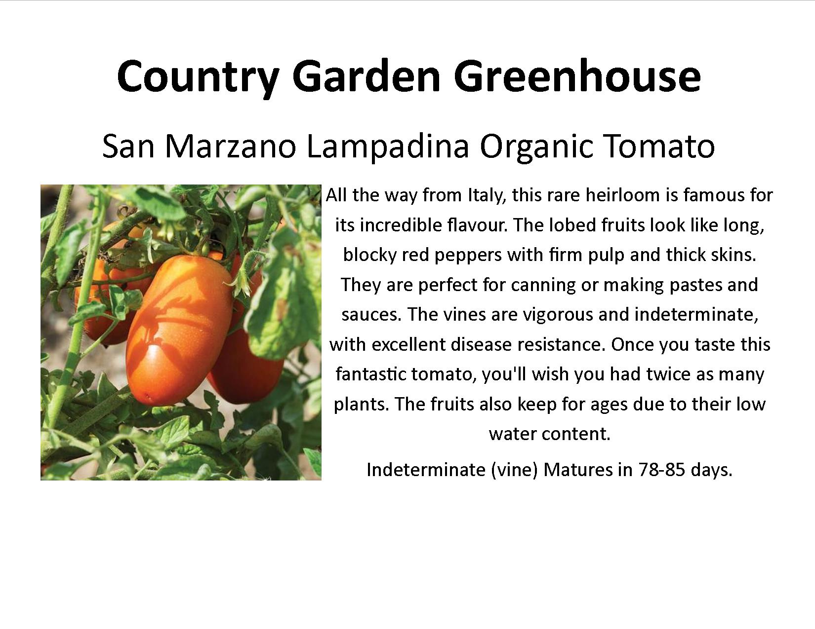 San Marzano Lampadina Organic Tomato