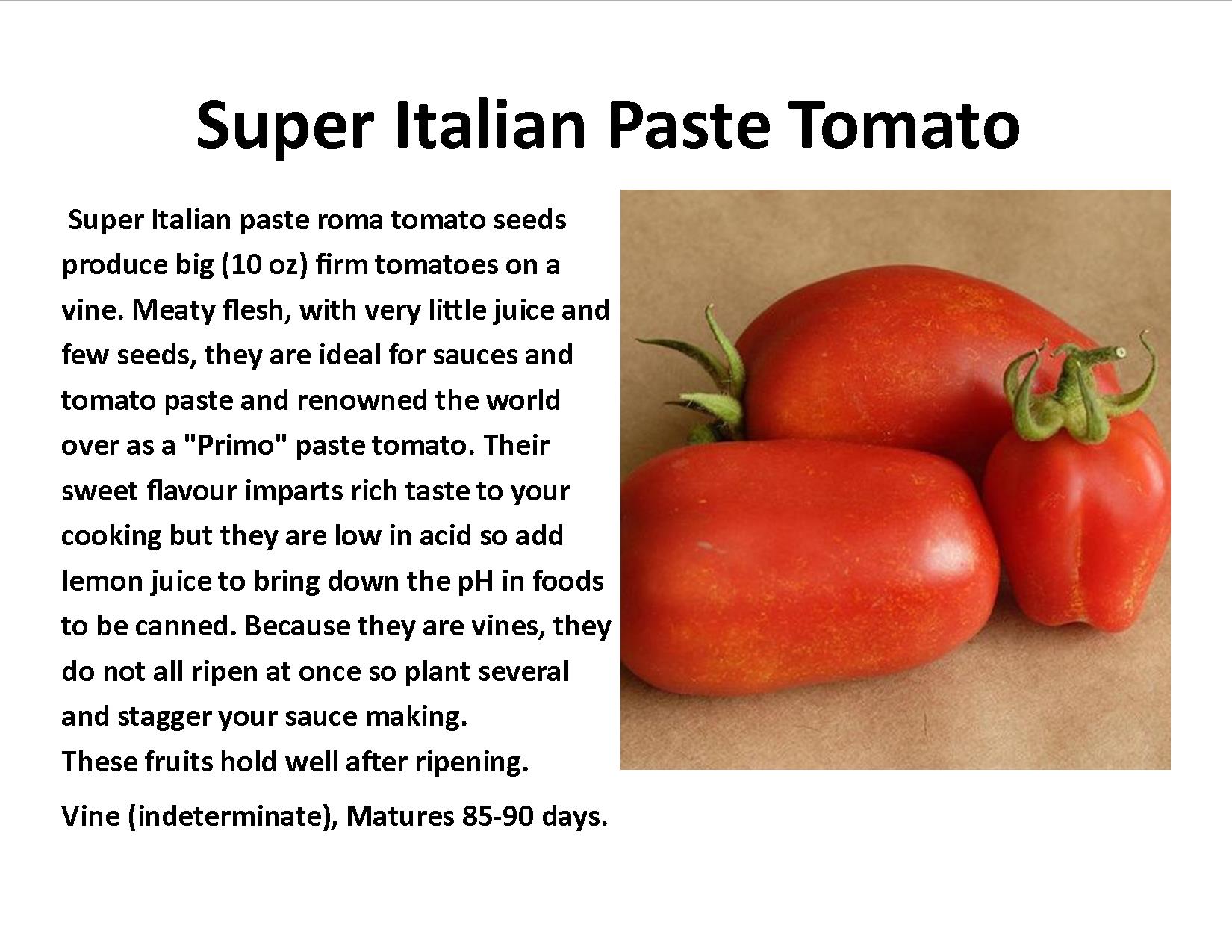 Super Italian Paste Tomato