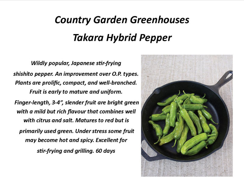 Takara Hybrid Pepper