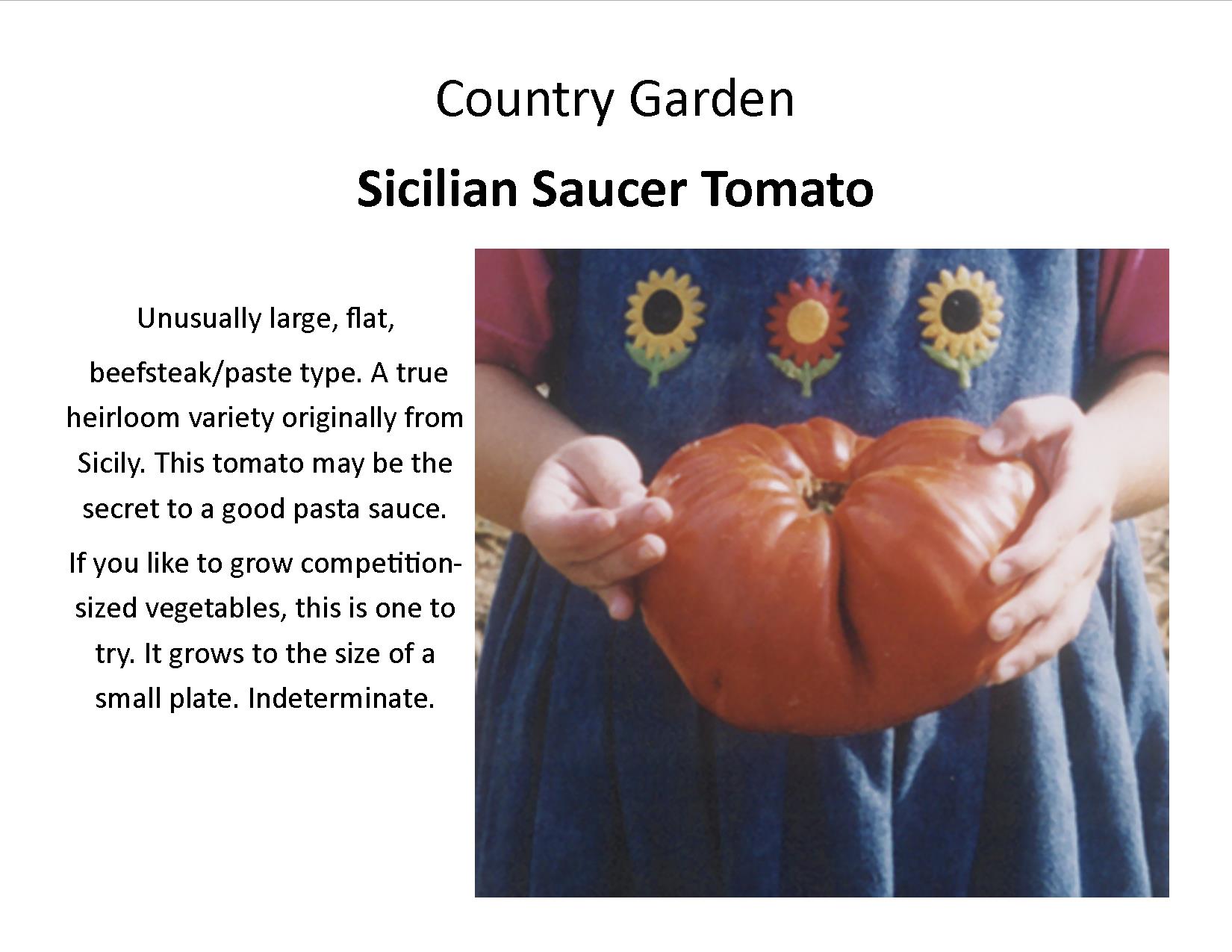 Tomato Sicilian Saucer