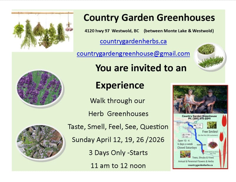 A walk in the greenhouses