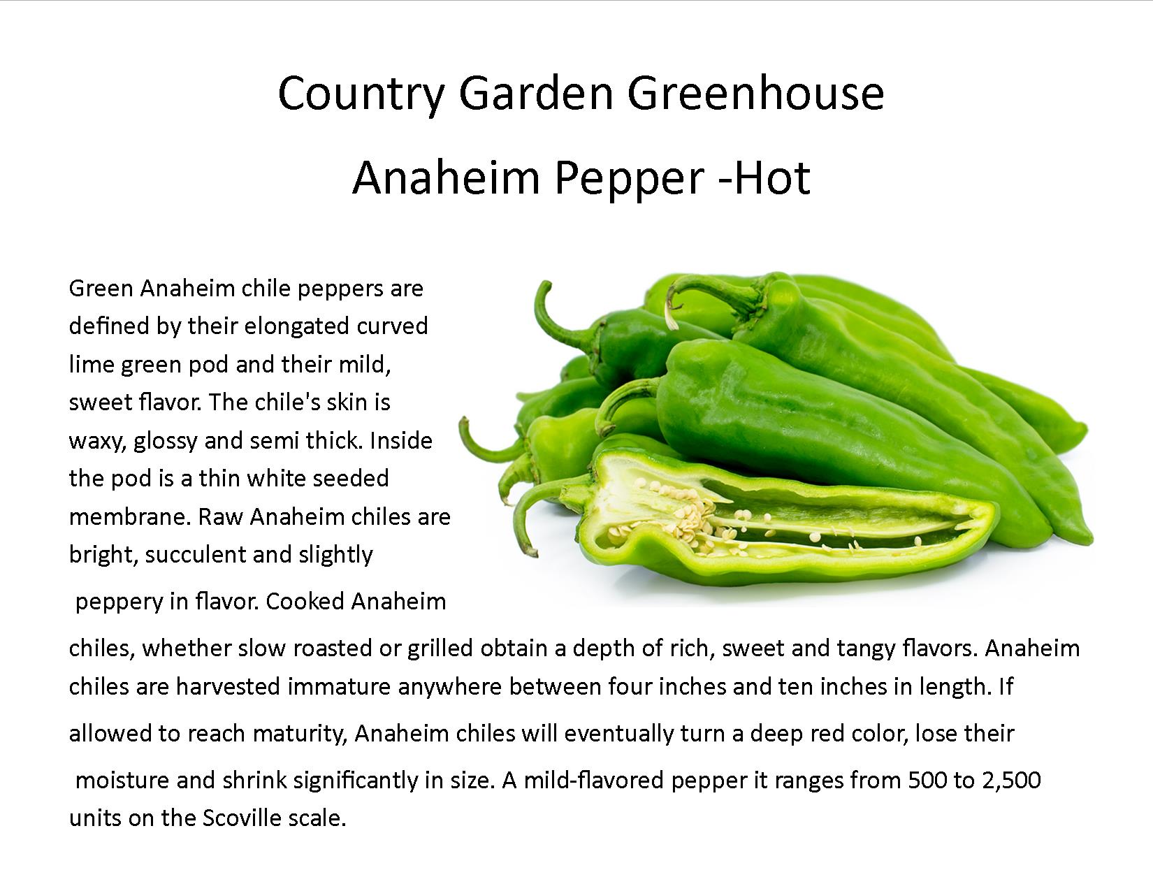 Anaheim Pepper -Hot
