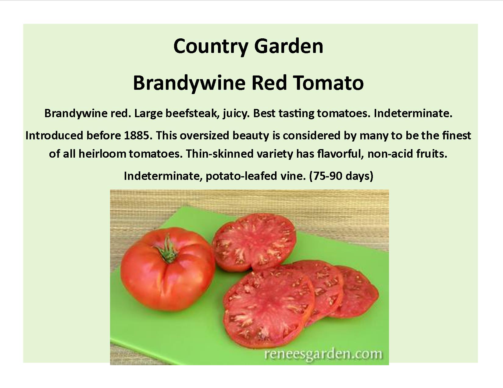 Brandywine Red Tomato