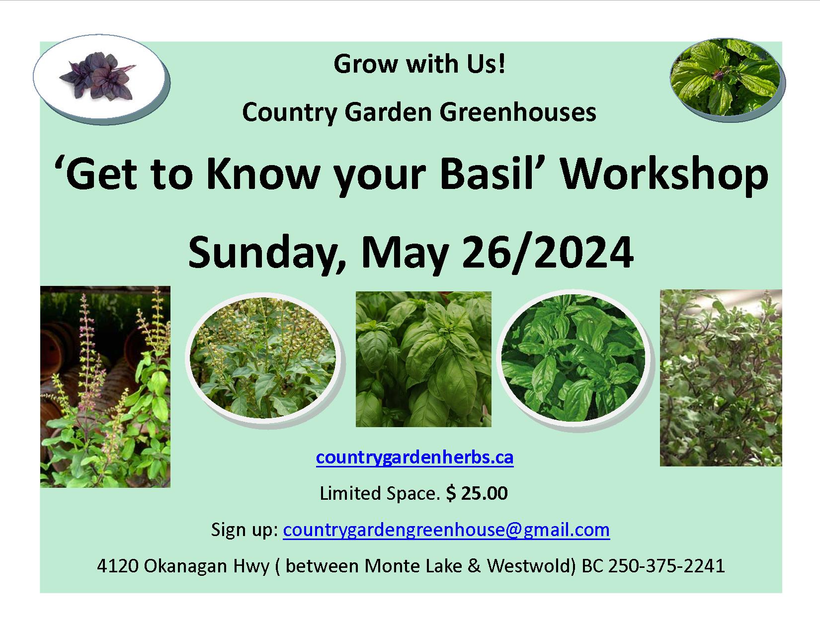 Basil workshop