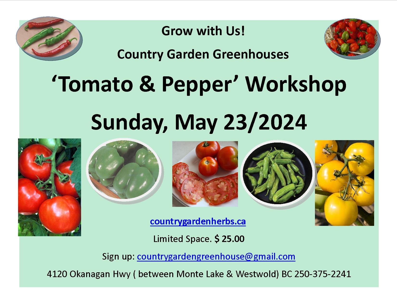 Tomato & Pepper workshop