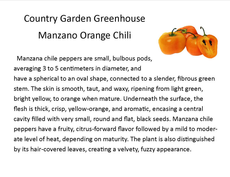 Manzano Orange Chili