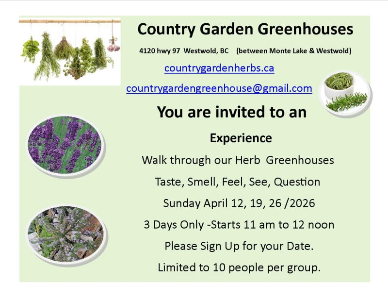 A walk in the greenhouses